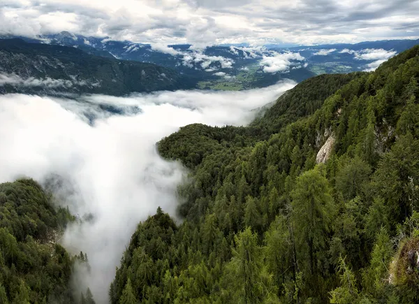 Vue sur la montagne — Photo