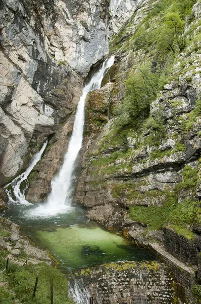 Djupa skogen vattenfall — Stockfoto