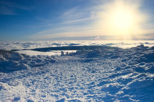 Sfondo invernale — Foto Stock