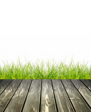 Yeşil bokeh ile çimen