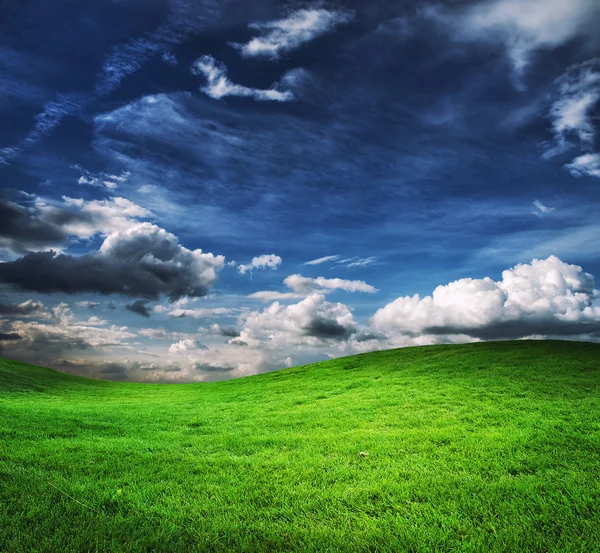 Grönt fält och blå himmel — Stockfoto