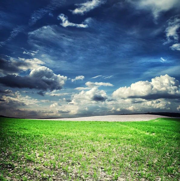 Zusammensetzung der Landwirtschaft — Stockfoto