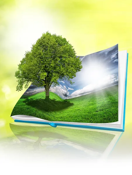 Libro ecológico — Foto de Stock