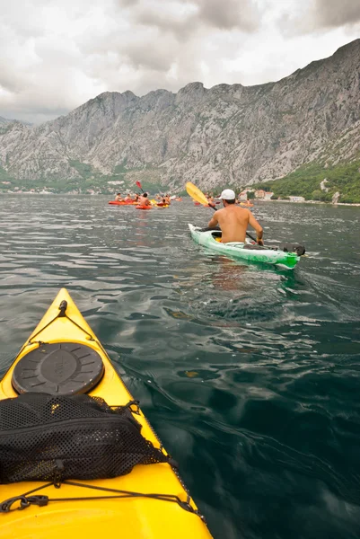 kayaks kotor Bay