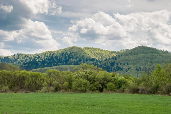 Doğal manzara Bieszczady içinde