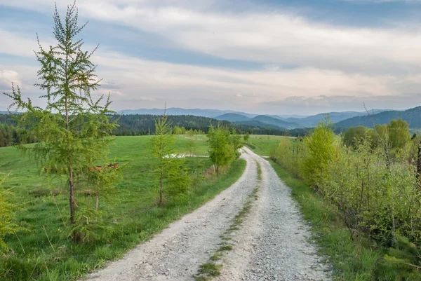 Dağlarda çakıl yolu