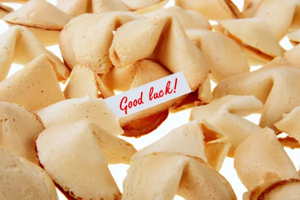 Succes! -backlit fortune cookies Rechtenvrije Stockafbeeldingen