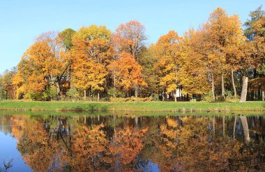 Ekim ayında güneşli bir günde sonbahar parkı, kırmızı akçaağaç yaprakları ve meşe yapraklarıyla dolu bir göl, arka plan. Parktaki güzel, parlak doğal manzara, mevsimler, altın sonbahar mevsimi, yürüyüş daveti,