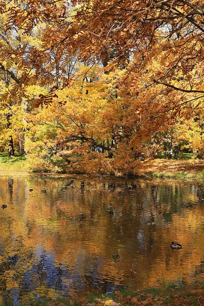 Temporada Outono Dourado Rússia Fundo Parque Outono Outubro Dia Ensolarado — Fotografia de Stock