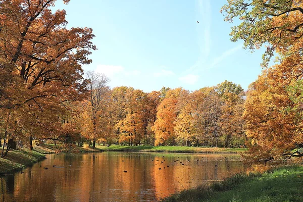Jesienny Park Październiku Słoneczny Dzień Jezioro Czerwonymi Liśćmi Klonu Dębami — Zdjęcie stockowe