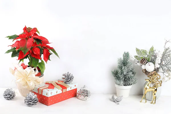 Mesa Festiva Leve Com Poinsettia Árvore Natal Vivo Presentes Decorações — Fotografia de Stock