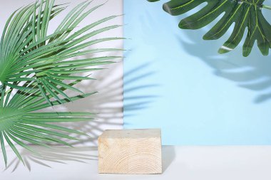 Abstract background with natural wooden podiums and palm leaves, empty showcase for display or presentation of cosmetic products, minimal scene with geometric shapes,