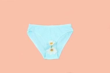 Pastel arka planda papatya çiçekli kadın pamuğu. Metin için yeri, kızlar için iç çamaşırı reklamı, kadın hijyeni ve özel organların temizliği, üst görünüm, kopyalama alanı.
