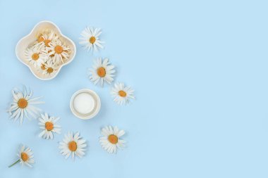 Papatya çiçekleri ve krem, merhem, arka planda diş pudrası, bitkisel doğal organik kozmetik konsepti, yaz geçmişi, sağlıklı yaşam tarzı seçimi, seçici odaklanma.