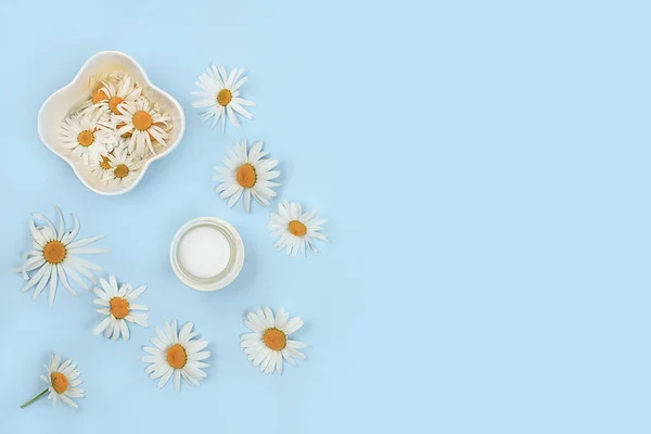 Chamomile flowers and bottle with cream, ointment, tooth powder on gentle background, minimal concept of herbal natural organic cosmetics, summer background, healthy lifestyle choice, selective focus