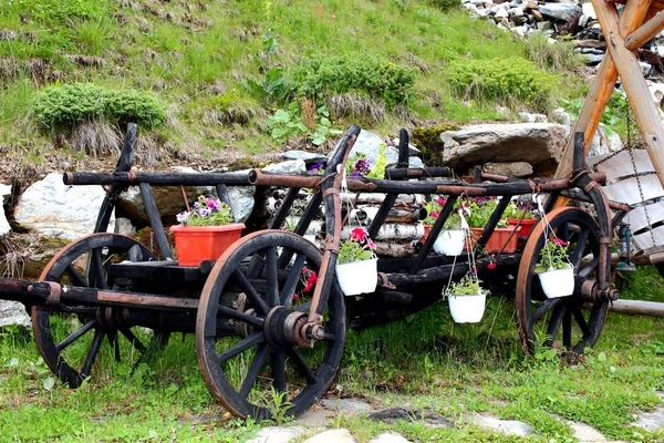 Rumensk tradisjonell kjerre – stockfoto