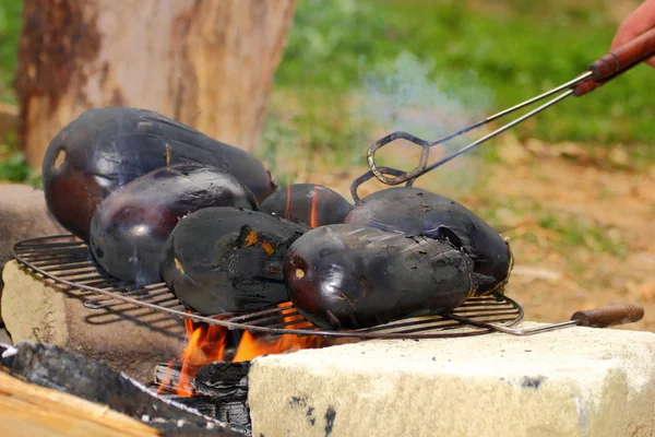 Eggplants on campfire — Stock Photo, Image