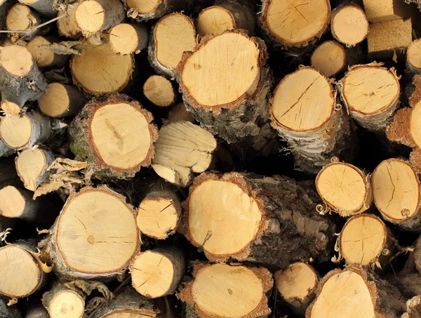 Vecchio modello di legno della tavola — Foto Stock