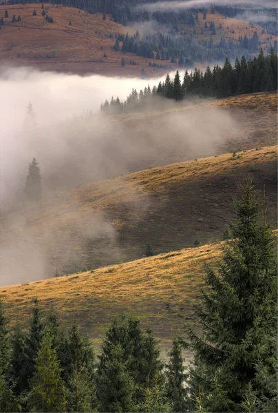 Morning mist — Stock Photo, Image