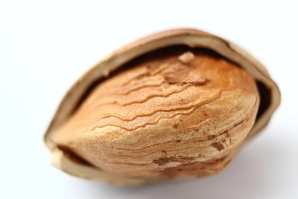 Abstract view of a hazelnut — Stock Photo, Image