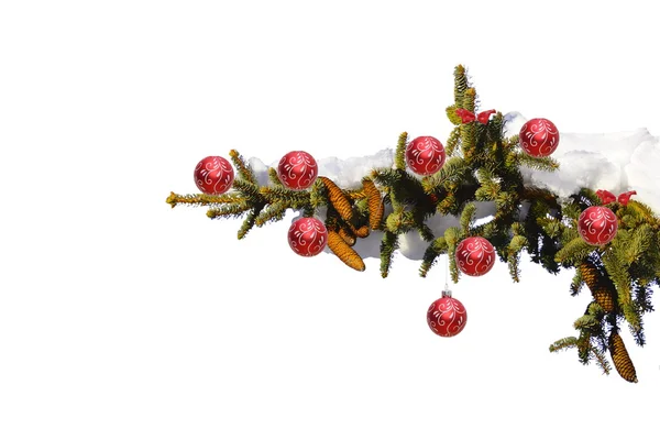 Decorated fir branch — Stock Photo, Image