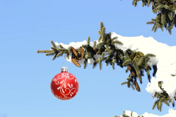 Noel ağacı kar dolu — Stok fotoğraf