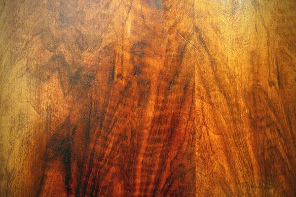 Hermosa madera contrachapada de roble — Foto de Stock