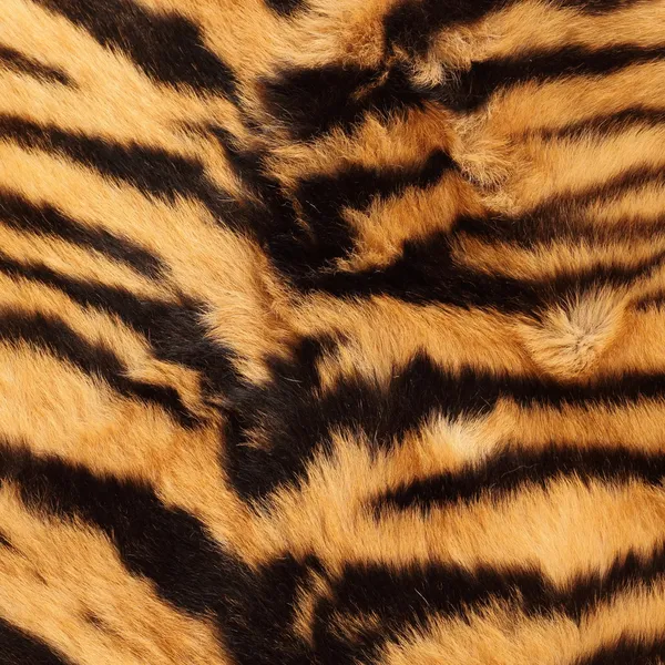 Listras em uma pele de tigre — Fotografia de Stock