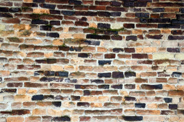 Grunge old wall — Stock Photo, Image