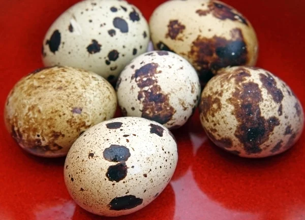 Перепелиные яйца в красной чаше — стоковое фото