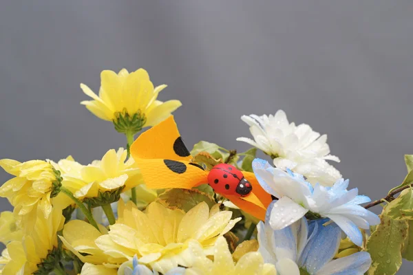 Flower arrangement with ladybug — Stock Photo, Image