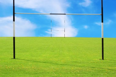 Rugby sahası