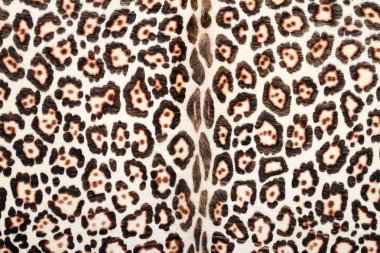 leopar kürkü closeup
