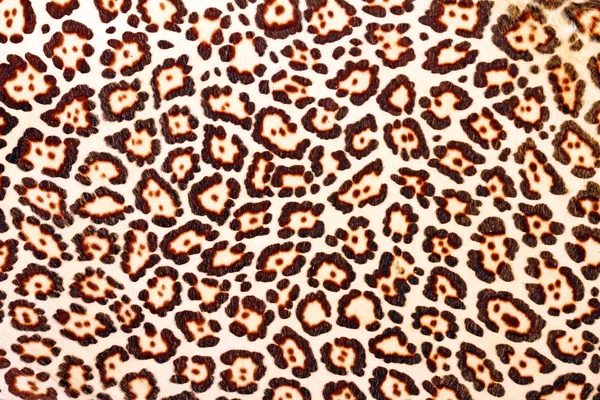 Текстура шкуры леопарда — стоковое фото