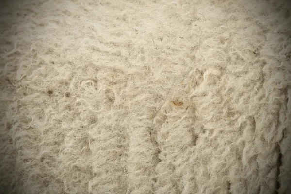 ビネットと毛皮の白い羊 — ストック写真