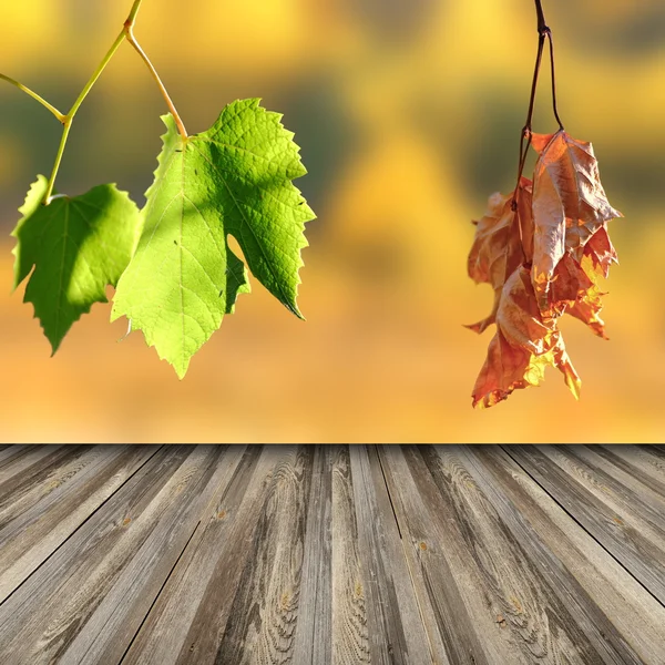 Plancher de terrasse dans le vignoble — Photo