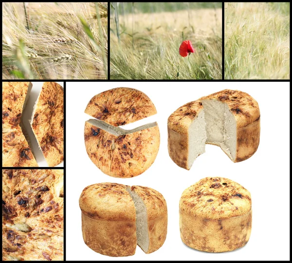 Romania traditional bread collage — Stock Photo, Image