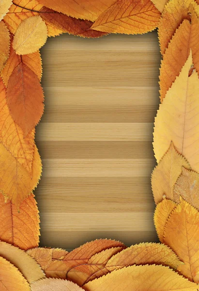 Натуральный фон с золотой листвы на столе — стоковое фото