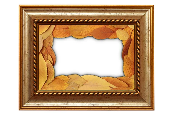 Isolated old frame with leaves — Stock Photo, Image