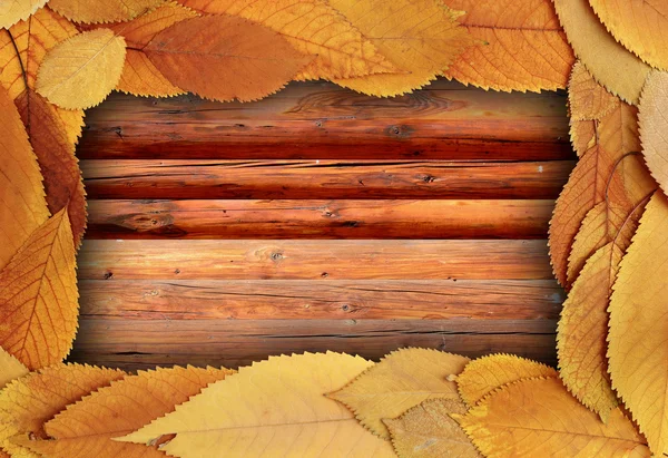 Złote liście na stół z drewna — Zdjęcie stockowe