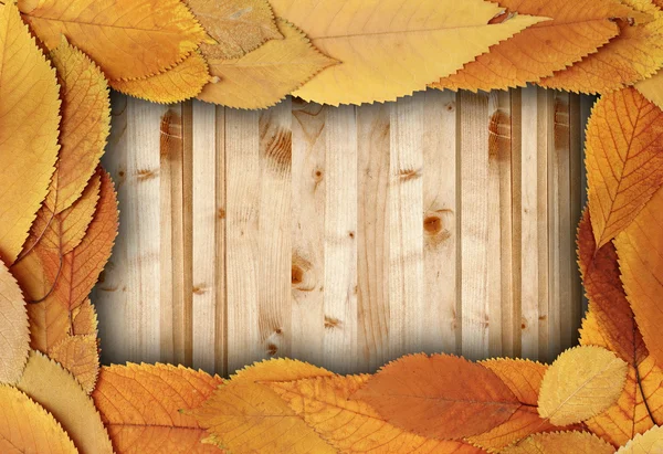 Vuren planken tabel met cherry verschoten bladeren — Stockfoto