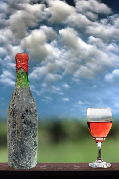 Oude wijnstokken weergeven — Stockfoto