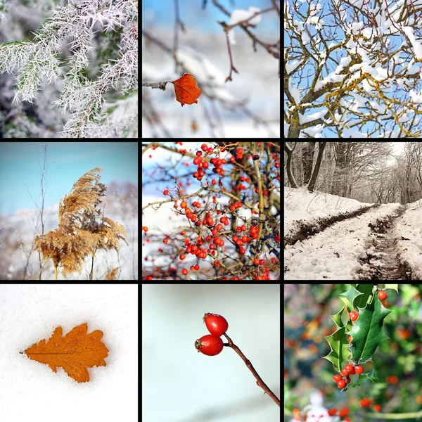 Collage with winter images — Stock Photo, Image