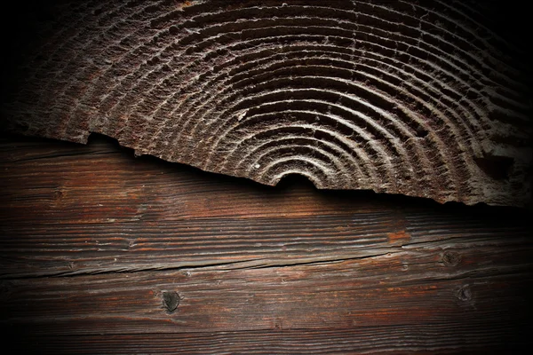 Fir cracked stump abstract texture — Stock Photo, Image