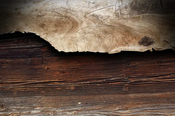 Pezzo di legno di pioppo — Foto Stock