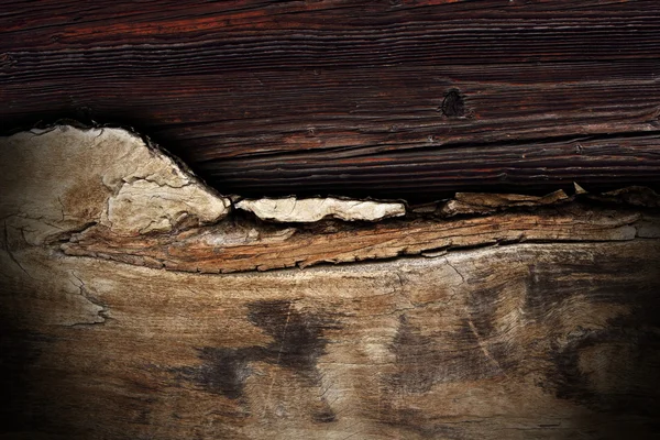 Combined abstract wood textures — Stock Photo, Image