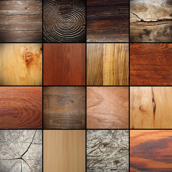 Grande collection de textures en bois — Photo