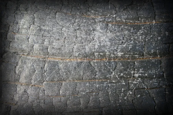 Абстрактная древесина — стоковое фото