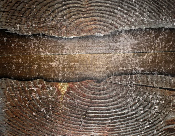 Fondo de tronco de madera agrietada angustiada — Foto de Stock