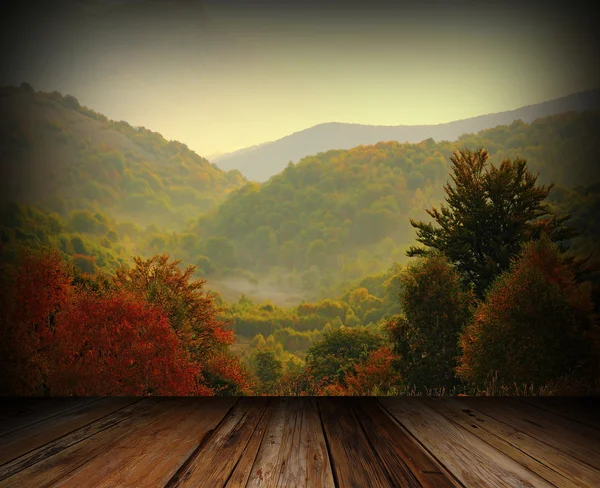 Balkon uitzicht op het bos — Stockfoto